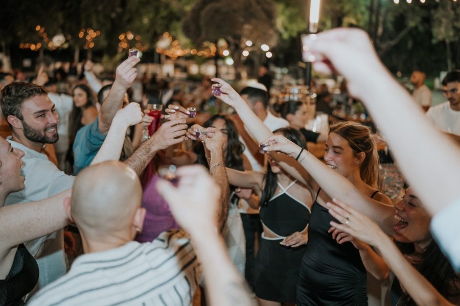 Guests raising a toast together at an event